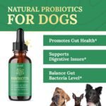 Discover how PawBiotix is a veterinarian-formulated gut health miracle for dogs—improving digestion, energy, coat shine—and backed by a 60-day money-back guarantee. Bonus brain-boosting guide included!