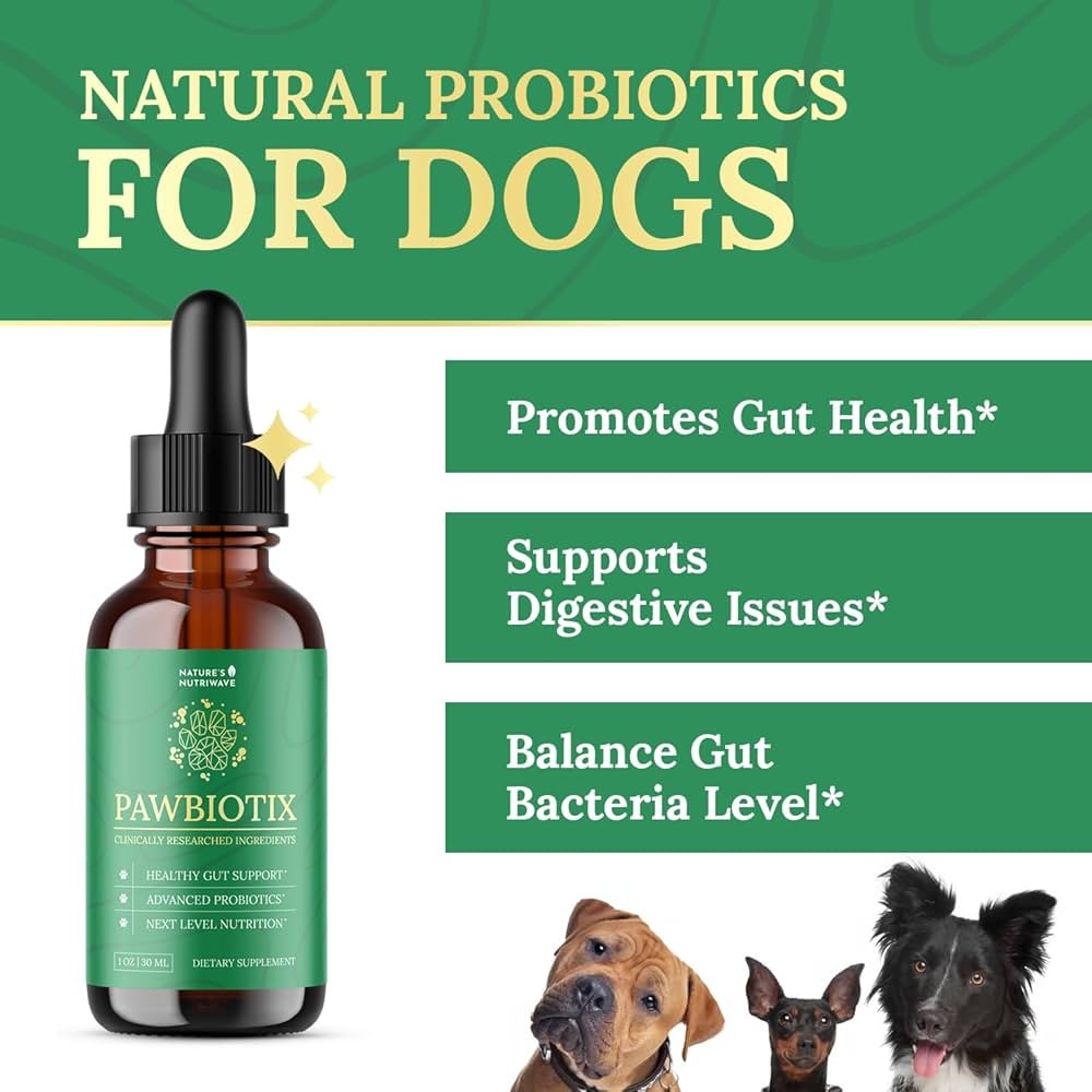 Your Dog’s Secret Weapon Against Gut Issues (and It’s 100% Natural!)