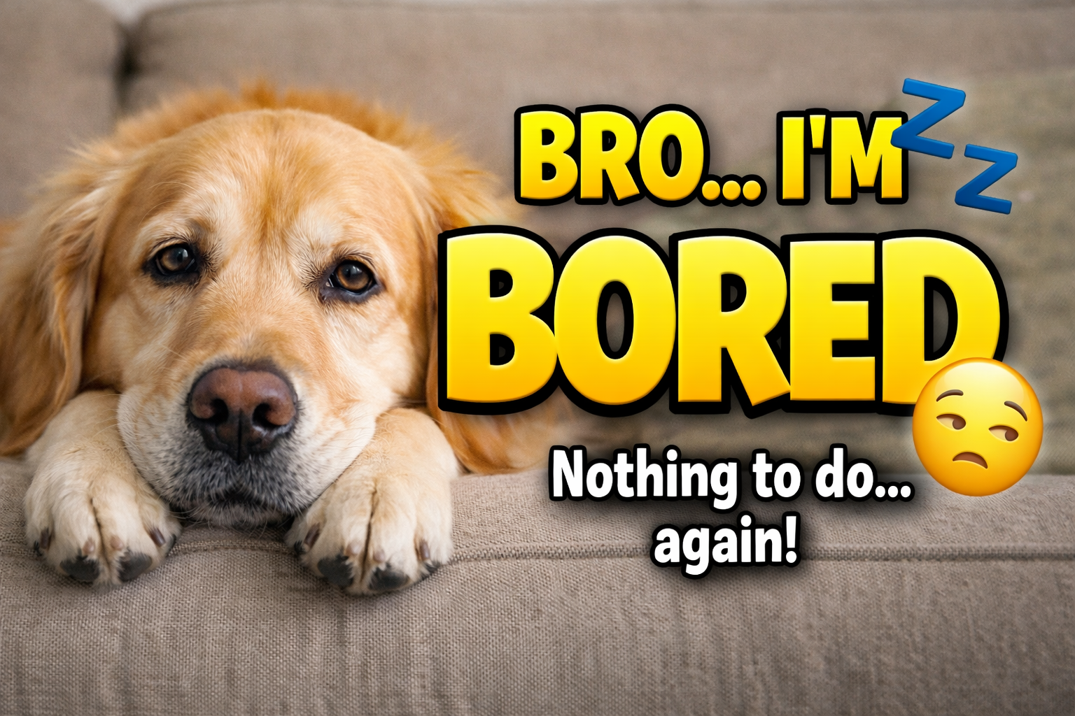 Your Dog Is Bored & You Don’t Even Know It – Do This Now! 🐶🧠