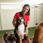 Discover everything about dog day care in our ultimate 2026 guide. Learn costs, benefits, what to look for, and how to choose the perfect day care for your furry friend.